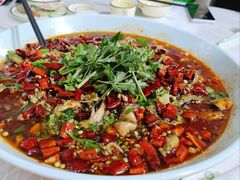 -彭大姐老店黄辣丁(新津店)