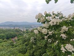 -福道