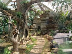 -昆明植物园