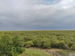 -北海金海湾红树林生态旅游区