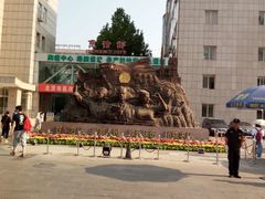 -中国人民解放军第九医学中心(306医院)