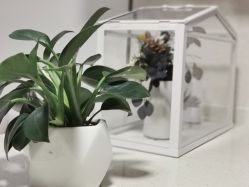 -L•野生眉半永久纹眉纹绣