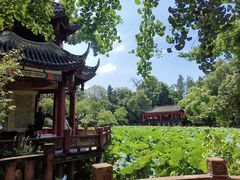 -房湖公园