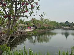 -无锡蠡湖国家湿地公园-蠡园