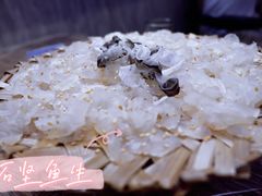 -官塘鱻鱻鱼生