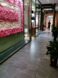 -盘子女人坊古装写真摄影(南京总店)