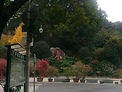 -乌山风景区