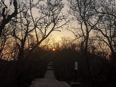 -紫金山山顶公园