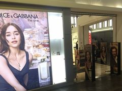 -谢列梅捷沃国际机场