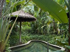 -碧桂园润杨溪谷温泉酒店