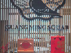 -光明招待所(邦凯科技园店)