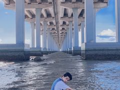 -宝安西湾红树林湿地公园