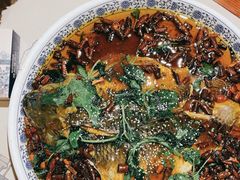 杨记招牌鱼-杨记隆府(时代天街店)