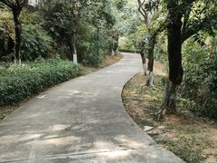 -燕晗山郊野公园