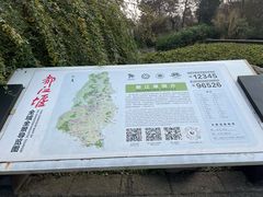 -都江堰中华大熊猫苑