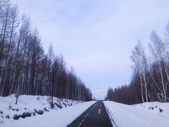 -北极村旅游风景区