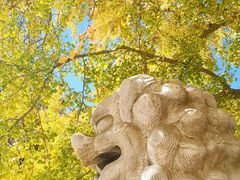 -北京石刻艺术博物馆(五塔寺)