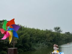 -黄海国家森林公园