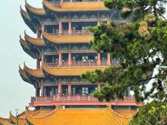 -黄鹤楼公园(黄鹤楼)