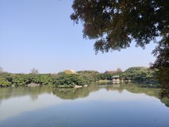 -江心屿景区