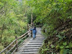 -蟠龙山长城景区