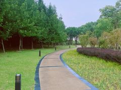 -苏州金鸡湖大酒店
