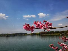 -石湖景区