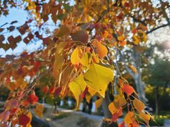 -泰州凤城河风景区-泰山公园