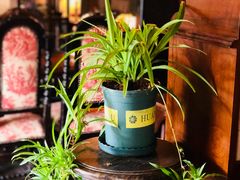 -留香花园(淮海街商业街店)