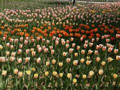 -长春公园(普阳街道)