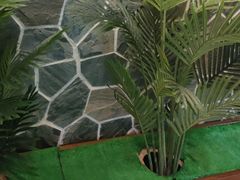 -胡家大厨(西三庄店)