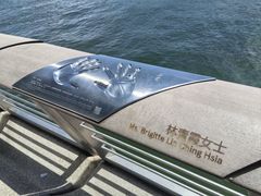 -星光大道
