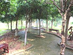 -武汉紫薇都市田园