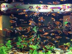 iphone_upload_pic-常州海昌海洋探索馆