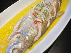 苏帮清蒸白鱼-苏帮袁·竹(北京坊店)