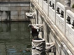 -重元寺香积厨素斋馆