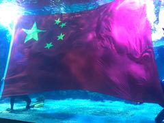 -石家庄海洋公园