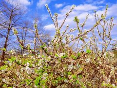 -新塘水果乐园(东洲大道店)