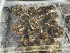 土笋冻-铭聚章鱼土笋冻(松柏店)