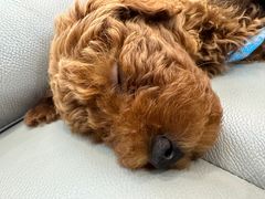 -长赢养生(平度店)