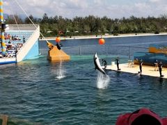 -秦皇岛乐岛海洋王国