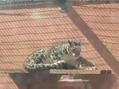 -青藏高原野生动物园
