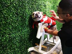 -Goku PET SHOP宠物视觉生活馆(双井店)