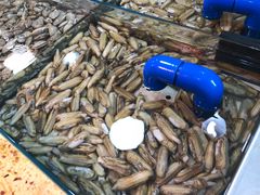 -海贡平价海鲜超市