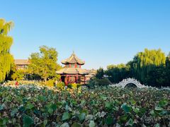 -莲池书院博物馆