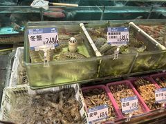 -强记海鲜·大排档(蛇口新街店)