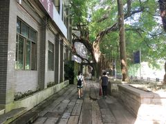-小洲村