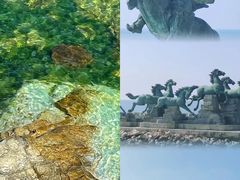 -养马岛旅游度假区