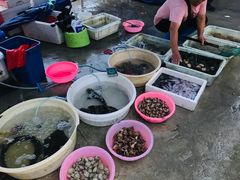 -霞涌市场海鲜摆卖区