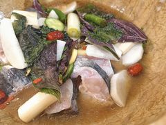 江团鱼-云中鱼蒸汽石锅鱼(川沙百联店)